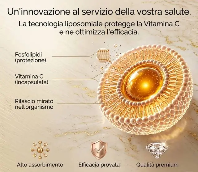 Gélule de vitamine C liposomale — encapsulation phospholipidique avancée